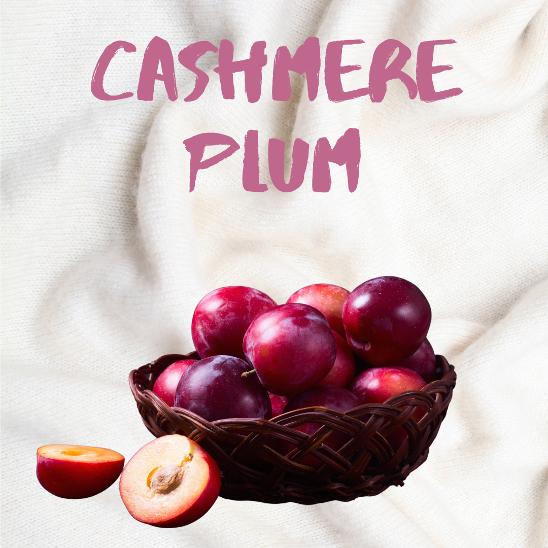 Cashmere Plum Luxury Candle